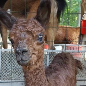 Meet your Posher, Wendy